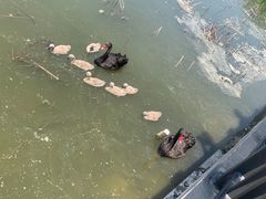 -天津东丽湖风景区