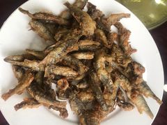 -途肴·老农饭庄(百里峡店)