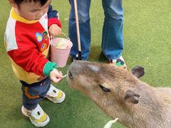 -正佳雨林生态植物园