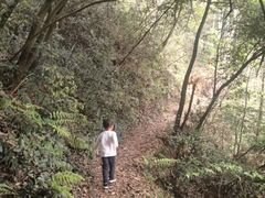 -午潮山国家森林公园