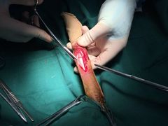 -骐奇宠物诊疗中心(南亭公路店)