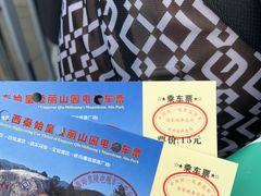 -秦始皇帝陵博物院(兵马俑)