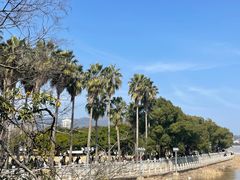 -江心屿景区