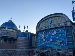 -海底巡游艇:尼莫和好友的海洋世界