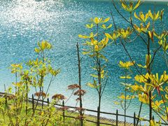 -武陵山森林公园