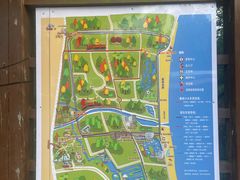 -日照海滨国家森林公园