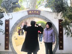 -桃花堤公园