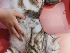 -和它·交个朋友·狗咖猫咖(爱琴海店)