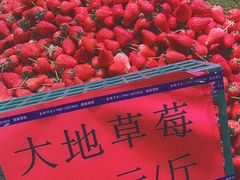 -花果山生鲜超市(浑河湾店)