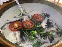 -全乐鱼馆·淳牌有机鱼直营店