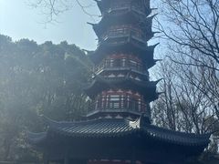 -上海佘山国家森林公园西佘山园