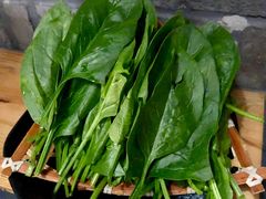 菠菜-湊湊火锅·茶憩(石家庄万象城店)