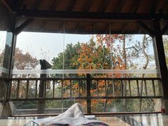 -天目湖涵田半山温泉