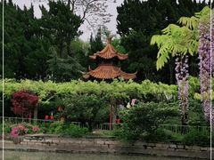 -嘉定紫藤园