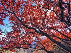 -水峪民俗村