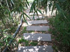-唐城墙遗址公园