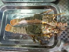 -董大蒸货(方塔园店)