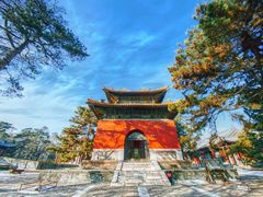 -沈阳市东陵公园