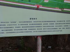 -罗布林卡