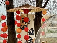 -同里国家湿地公园
