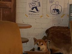 -鹿萤季·营地小馆(皇后公园店)