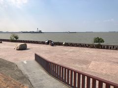 -上海滨江森林公园