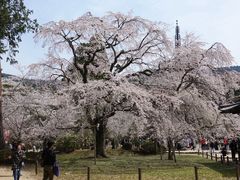 -醍醐寺
