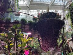 -正佳雨林生态植物园