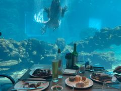 -涛·海底餐厅·美人鱼·自助餐·海底隧道(三亚海棠湾洲际度假酒店)