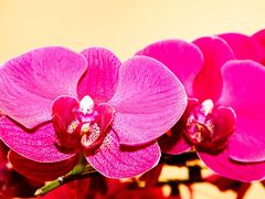 -微笑时刻照相馆·企业合影·商务外拍(北京五道口店)