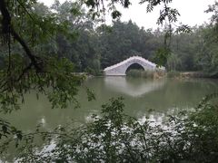 -浮庄
