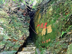 -天女山森林公园
