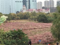 -艾溪湖湿地公园