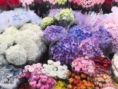 -双季花艺园艺市场(浦东店)