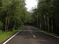 -五营红松林海景区