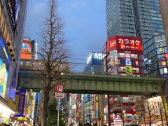 -秋叶原电器街
