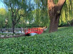 -玲珑塔公园