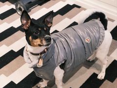 -MONCLER(北京SKP概念店)