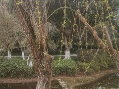 -重庆园博园