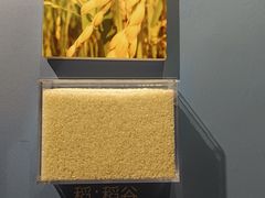 -大连金州博物馆