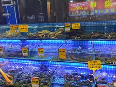 -大东海海鲜酒楼(渔人码头总店)