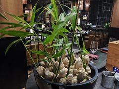 -广州瑰丽酒店·Black Iron黑金燚