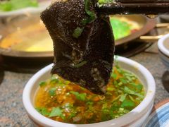 鲜毛肚-小天鹅火锅·一线江景洪鼎旗舰店(洪崖洞店)
