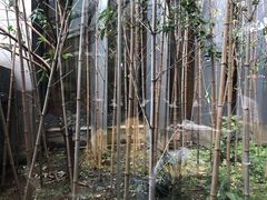 -云门锦翠(商鼎国际店)