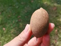 -三亚南山文化旅游区