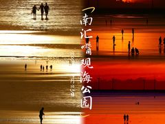 -南汇嘴观海公园