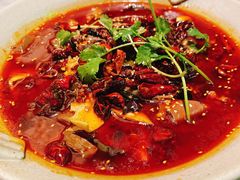-辛香汇·现炒川菜(淮海路百盛店)
