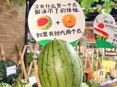 -坂田天虹