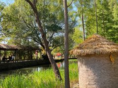 -溱湖国家湿地公园