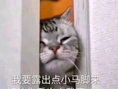 -卓粤拉肠(红庙店)